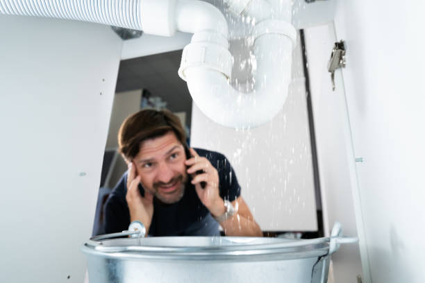 Best Local Plumber Services  in Cole Camp, MO
