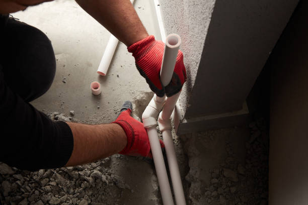 Best Sewer Line Repair  in Cole Camp, MO