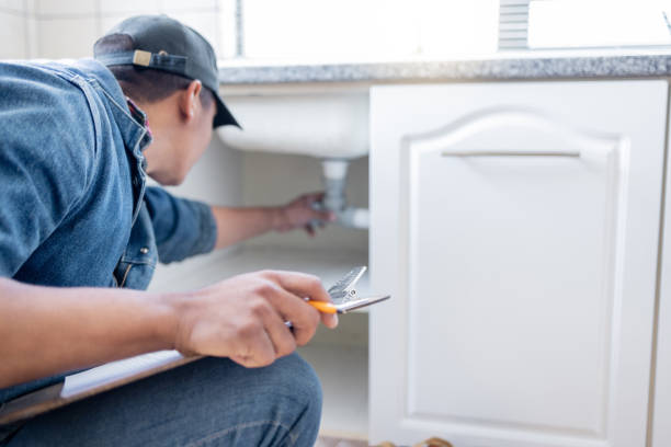 Best Local Plumber Services  in Cole Camp, MO